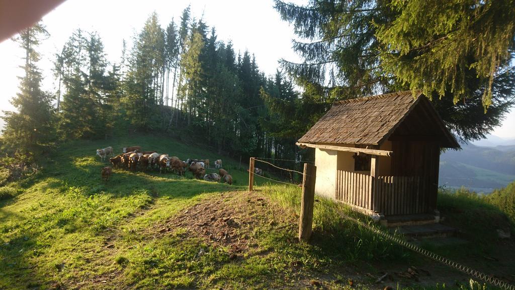 Bio-Peisingerhof Lägenhet Sankt Stefan ob Leoben Exteriör bild